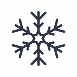 Snow Flake